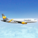 condor